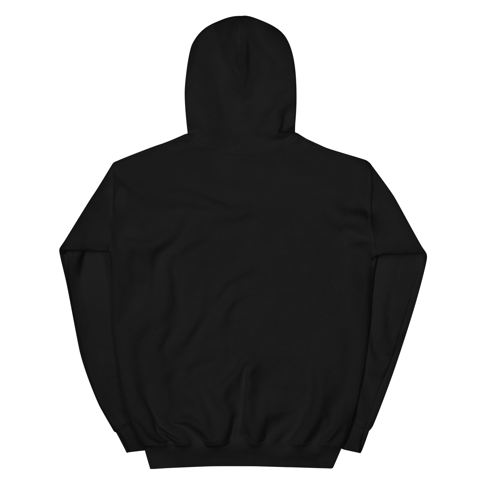 DueCourse™ Pre-Law Hoodie – “I’m Not Crazy, I’m Pre-Law - Image 2